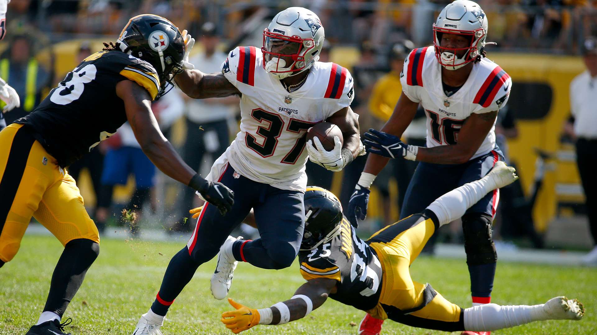 了无尽的欢 了无尽的欢