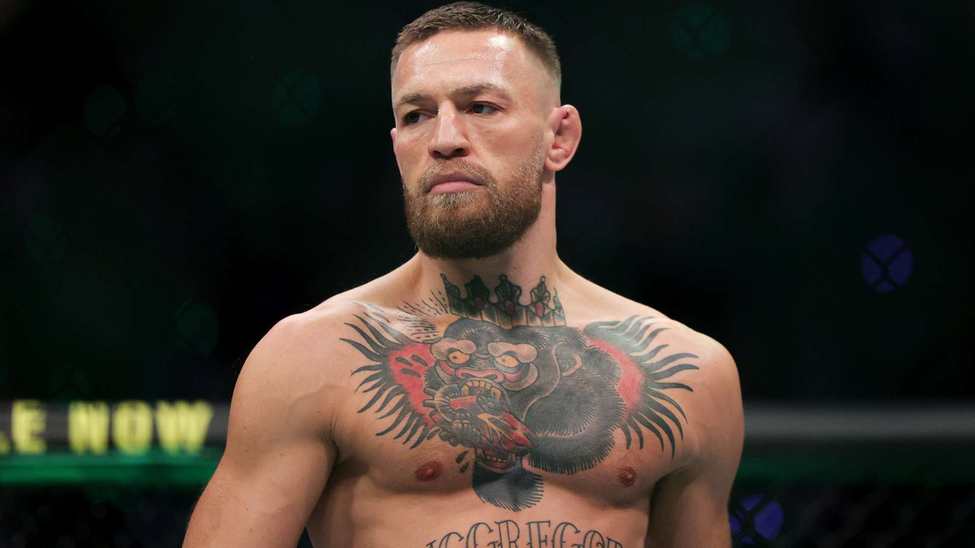 晰地看到 晰地看到