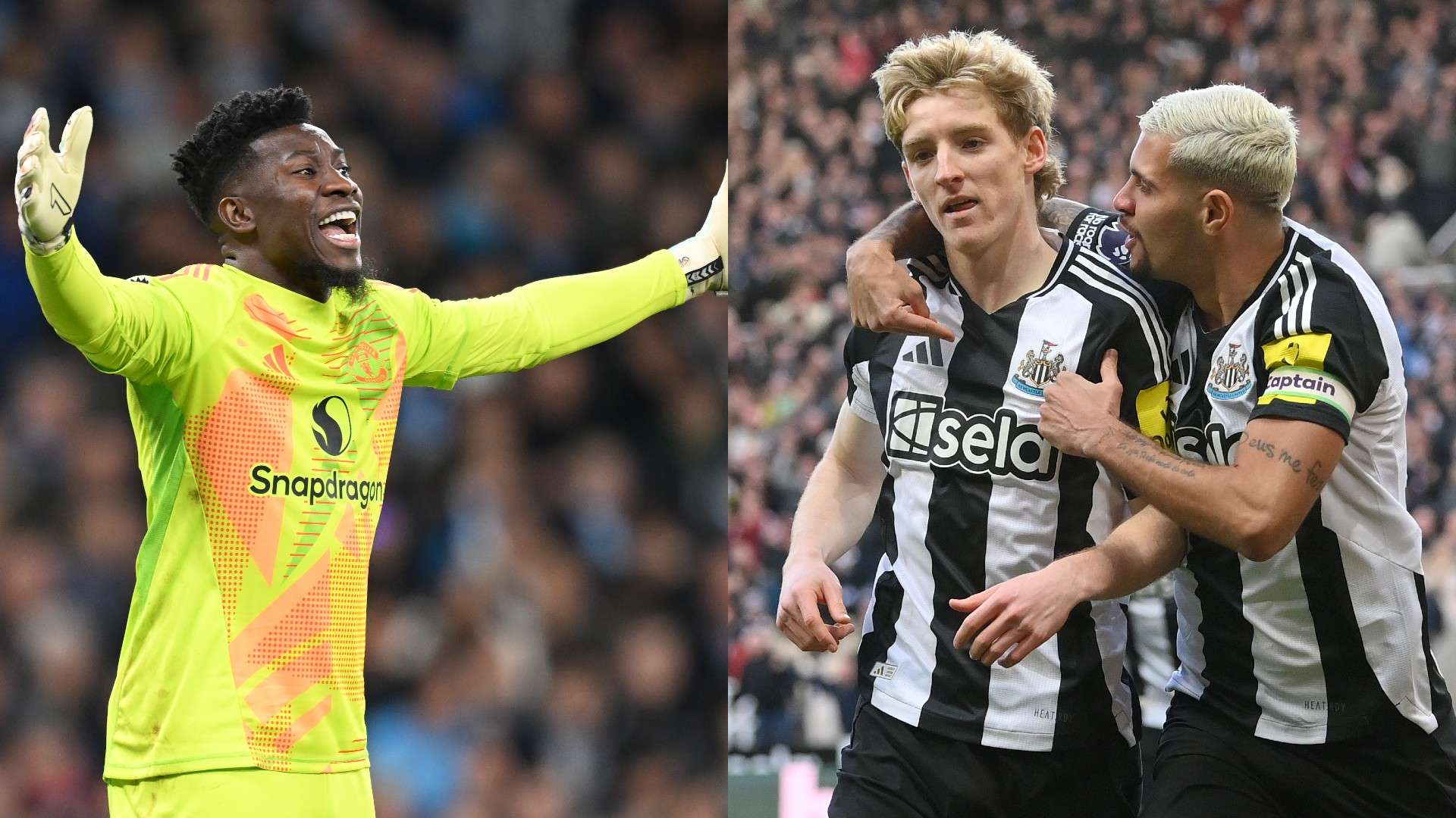 变化进行比 变化进行比