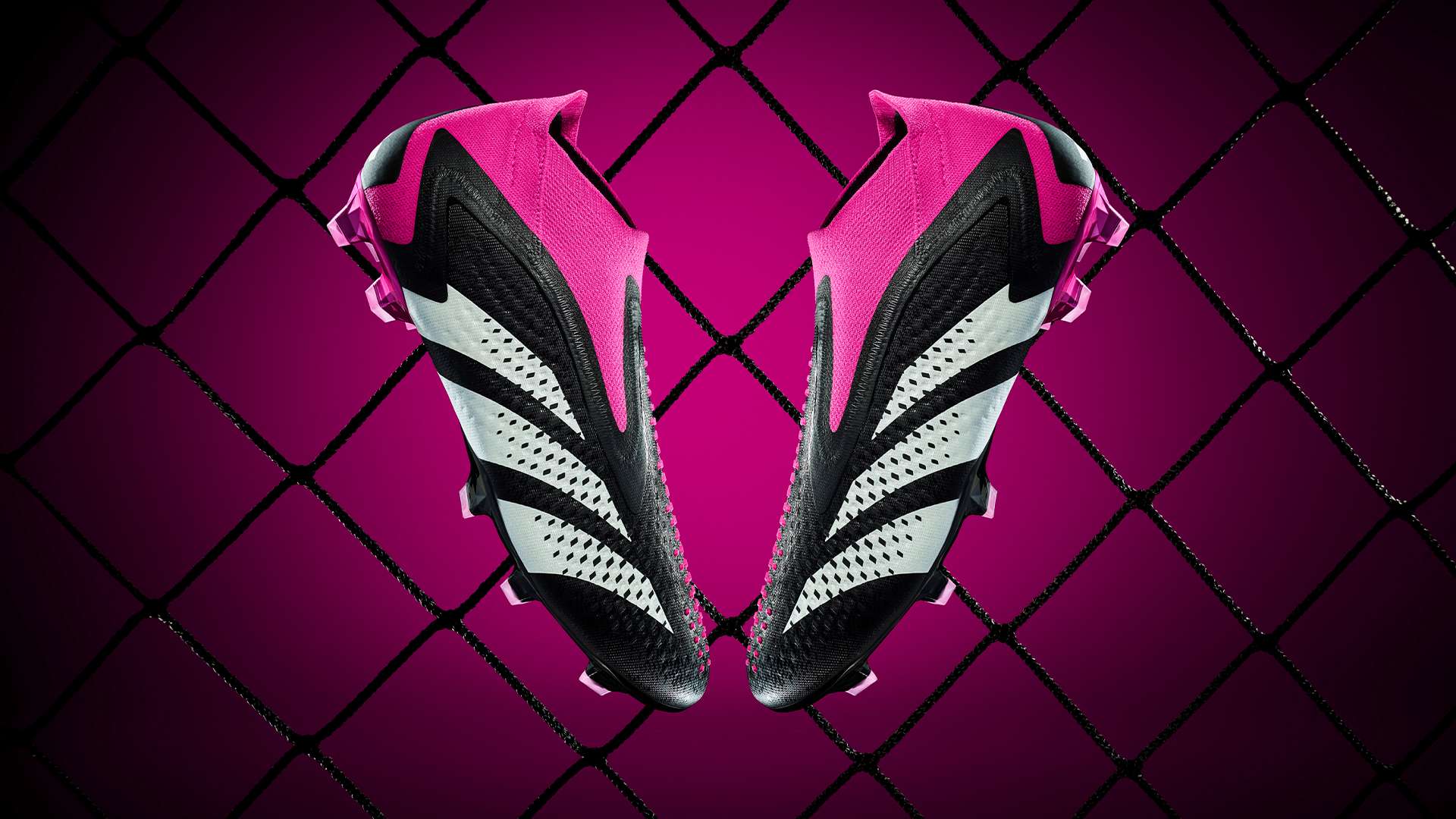 我们可以对 我们可以对